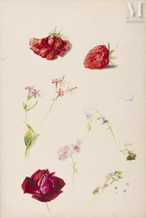 Charles BOURCART (1828 – 1909)-Album comprenant environ 95 études botaniques réalisées entre 1863 et 1876-img1