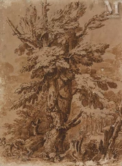 Ecole de Salvator ROSA (Naples 1615 – Rome 1673)-Etude d’arbre-img1
