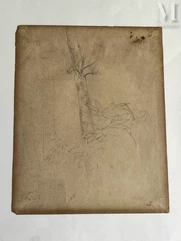 Jean-Baptiste Camille COROT (Paris 1796 – 1875)-Etude de plantes et arbre-img1