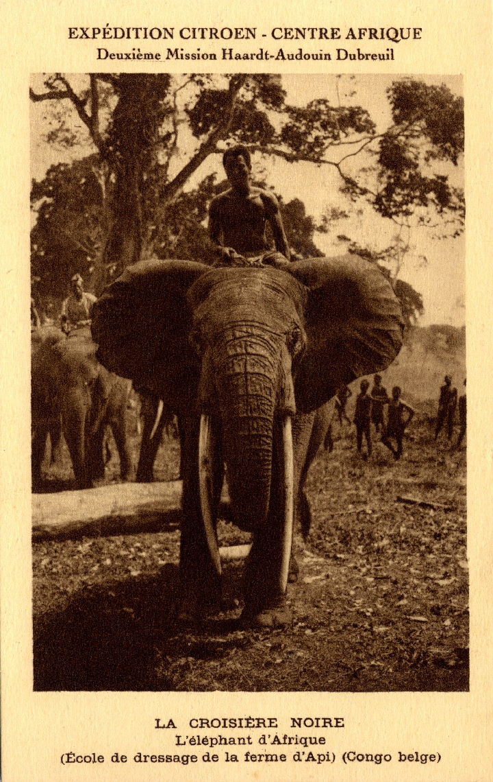 Emile Gall&eacute; estimation gratuite vase en verre vente aux ench&egrave;res publiques art nouveau art d&eacute;co