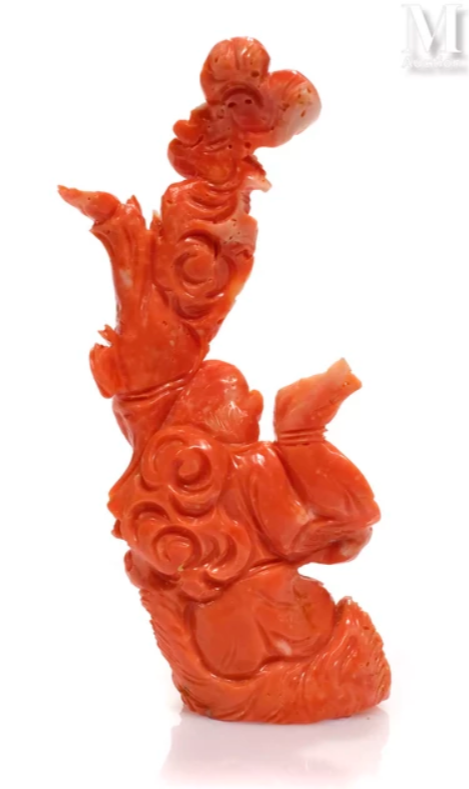 Estimation gratuite corail