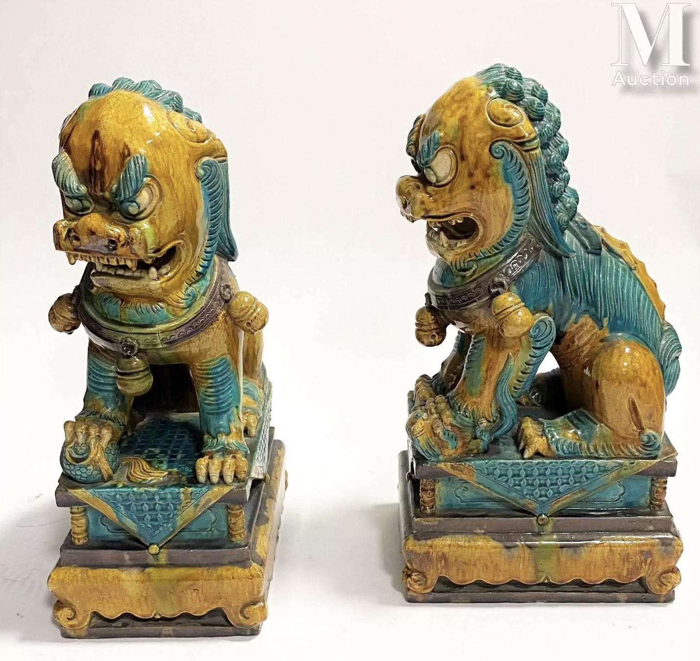 Estimation gratuite chien de fo