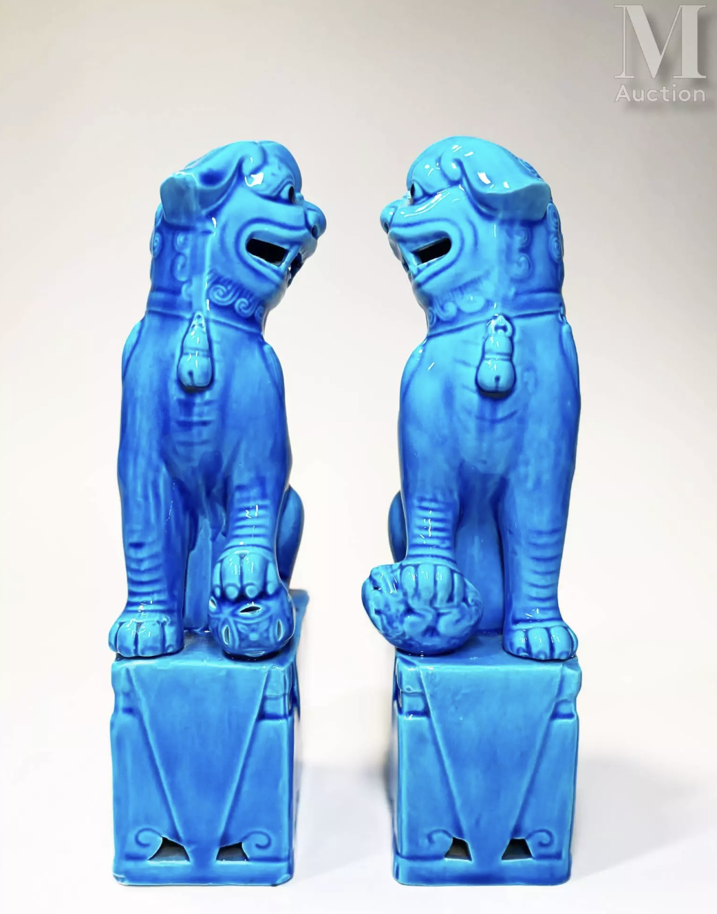 Estimation gratuite chien de fo