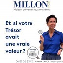 Camille DUTOT Expert priseur