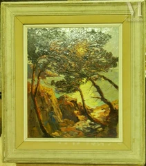 Jacques van den BUSSCHE (Marseille 1925)-Bord de mer au soleil couchant-img1