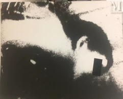 Jean-Pierre RAYNAUD (né en 1939)-Portrait, 1965-1975-img1