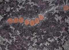 Gabriella Possum Nungurrayi (1967 - )--img1