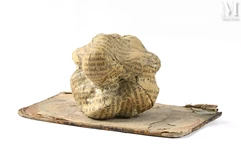 Paul JENKINS (1923-2012)-Figure humaine-img1