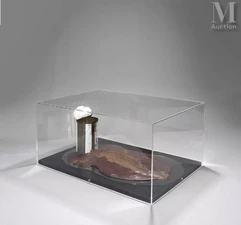 CÉSAR  (1921-1998)-Conserve expansion (de la série Alimentation de la vision par Martial Raysse et César), 1969-img1