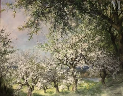 Auguste Jean CLAIRE (1881-1970)-Les cerisiers-img1