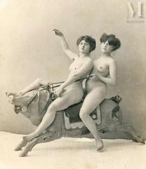 Deux femmes et un cochon...--img1