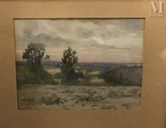 Paysage aux 2 arbres--img1