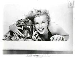 Marilyn MONROE--img1