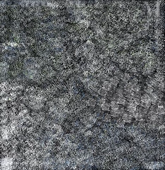 Lanita Numina Napanangka (1963 - )-Thorny Devil Lizard-img1