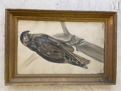 Raymond BIGOT (Orbec 1872 - Equemauville 1953)-Faucon pèlerin-img1