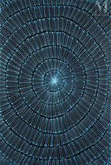 Mary Rumble Pitjara (Petyarre) (1957 - )-Kangaroo Dreaming, 2021-img1