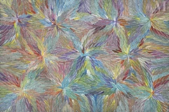 Bernadine Johnson Kemarre (1965 - )-Medecine Leaves-img1