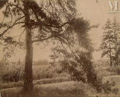 Eugène ATGET (1857-1927)--img1