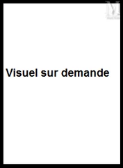 Charles Hossein ZENDEROUDI (né en 1937)-Sans titre, 1979-img1