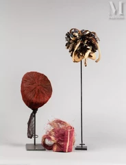 Deux coiffes traditionnelles--img1