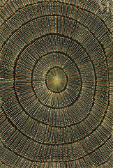 Mary Rumble Pitjara (Petyarre) (1957 - )-Kangaroo Dreaming, 2021-img1