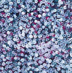 Bessie Purvis Petyarre (1971 - )-Bush Plum, 2021-img1