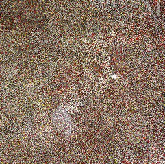 Bessie Purvis Petyarre (1971 - )-Atnwelarr and Kame, 2018-img1