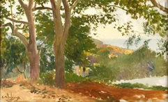 Georges Antoine ROCHEGROSSE (Versailles 1859 - Alger 1938)-Les Platanes du jardin Djenan Meryem à Alger-img1