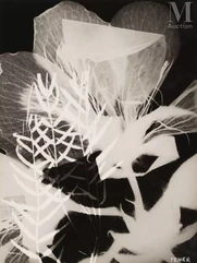 Emeric FEHER (1904-1966)-Photogram, 1939-img1