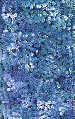 Belinda Golder Kngwarreye (1986 - )--img1