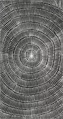 Mary Rumble Pitjara (Petyarre) (1957 - )-Kangaroo Dreaming, 2022-img1