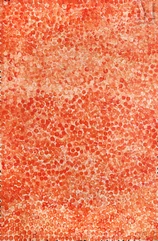 Galya Pwerle (c. 1930 ? - )-Anemangkerr, 2019-img1