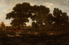 Théodore ROUSSEAU (1812 - 1867)-The heather near the pond in the Barbizon forest-img1