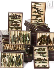 RARISSIME COLLECTION DE 1309 COLIBRIS--img1