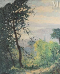 Raymond THIBESART (Bar sur Aube 1874 - 1968)-Grand arbre au bord du lac-img1