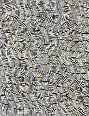 Maureen Hudson Nampitjinpa (1959 - )-Country, 2010-img1