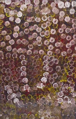 Emily Kame Kngwarreye (1910 - 1996)-My Country, 1995-img1