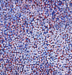 Bessie Purvis Petyarre (Pitjara) (1971 - )-Bush Plum, 2023-img1