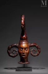 Cimier de danse--img1