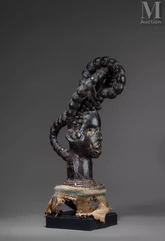 Cimier de danse--img1