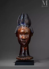 Cimier de danse--img1