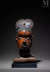 Cimier de danse--img1