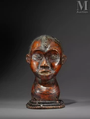 Cimier de danse--img1