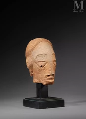 Tête masculine--img1