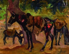Paul NICOLAI ( France 1876 - 1948/52)-Mulets et bourricots à Chaerchell-img1