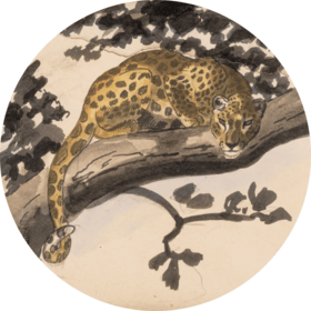 Spécialité Bestiaire Millon